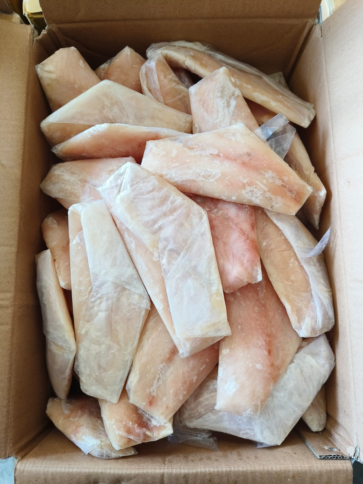 Ikan Kakap Fillet Mentah Segar